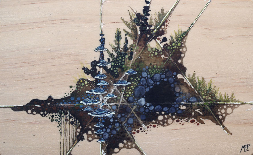 I Make Fantastical Nature Inspired Illustrations