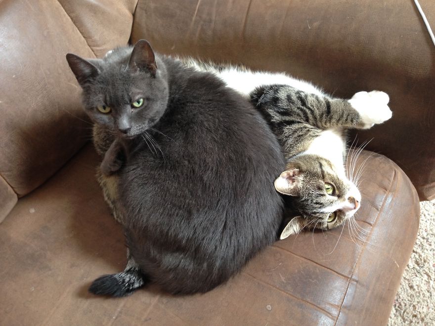 I'm Comfortable. Aren't You?