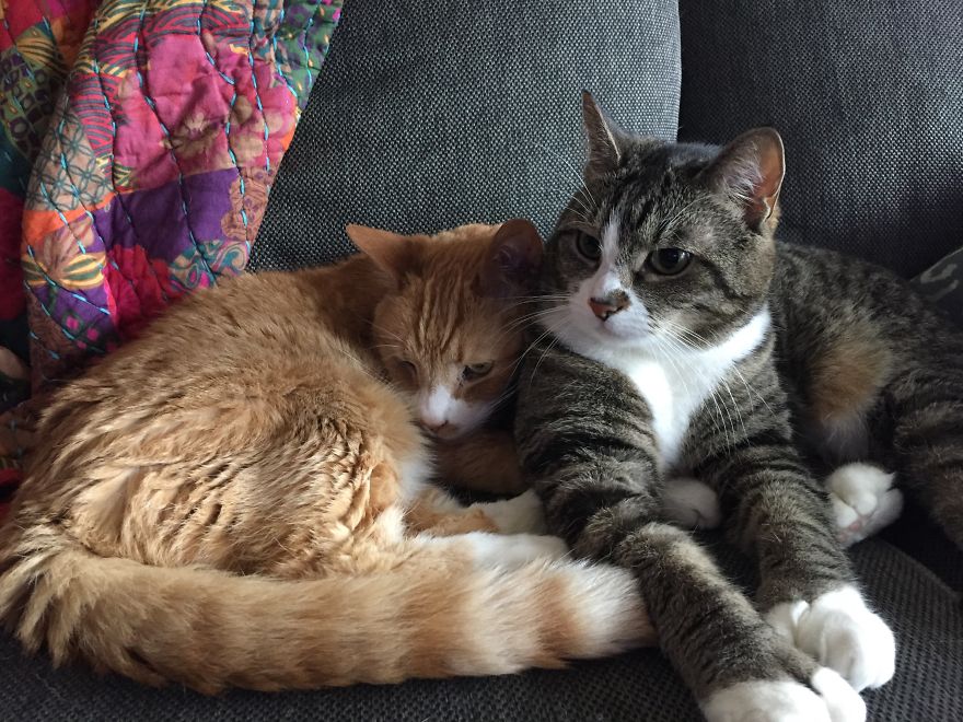 She Is Still Being Invasive... She Is Still Being Invasive...