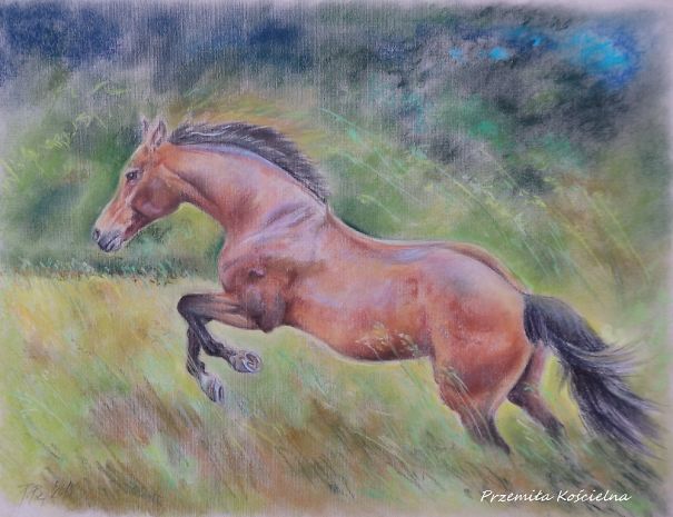 My Equestrian Art My Equestrian Art