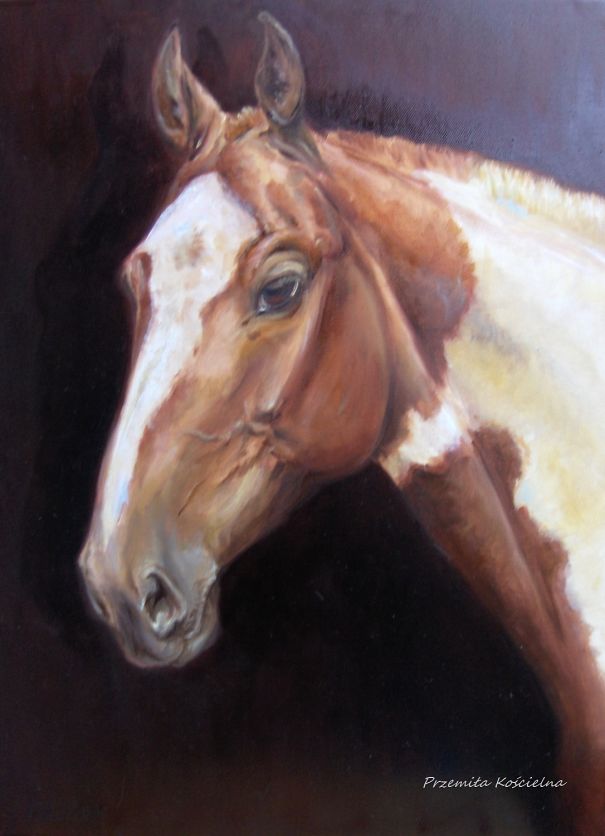 My Equestrian Art My Equestrian Art