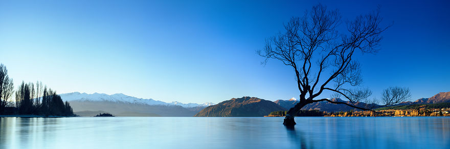 I Bought A $60,000 Digital Camera But I Still Prefer Film. Can You Spot The Difference?