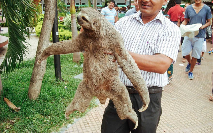 Not Only Salar De Uyuni - I Traveled Bolivia Off The Beaten Track Not Only Salar De Uyuni - I Traveled Bolivia Off The Beaten Track