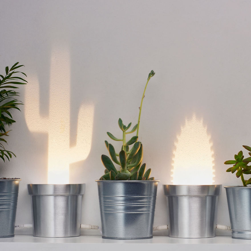 We Designed Wall Lamps That Turn Into Cactuses When Switched On