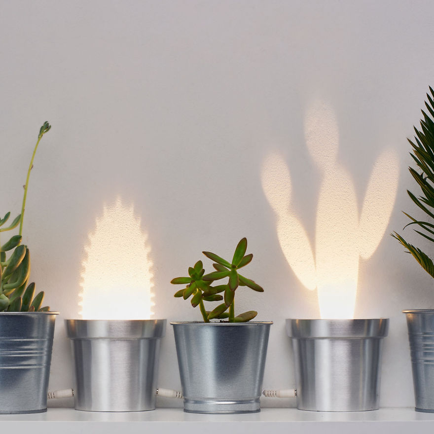We Designed Wall Lamps That Turn Into Cactuses When Switched On