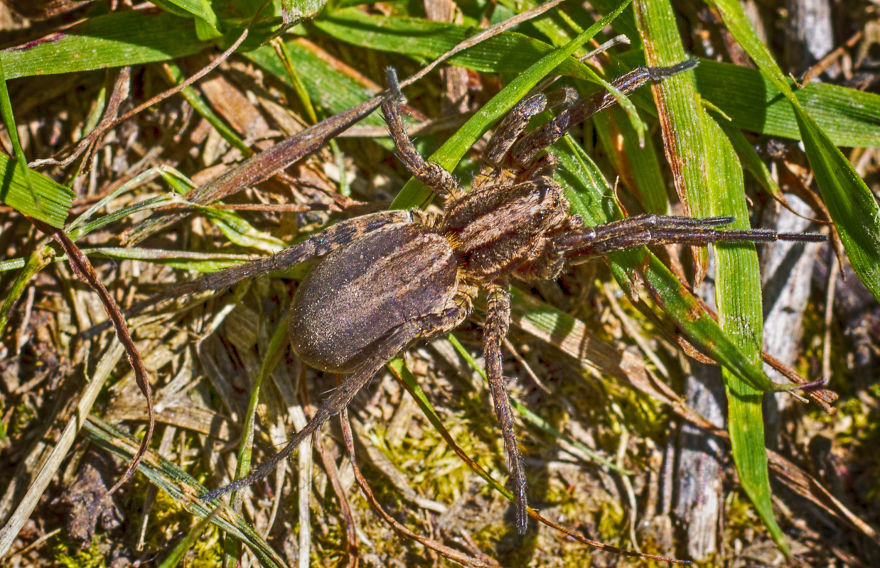 How I Cope With Severe Diagnoses Like Schizophrenia