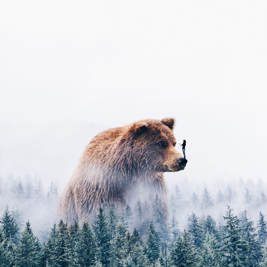 Surreal Art By Luisa Azevedo