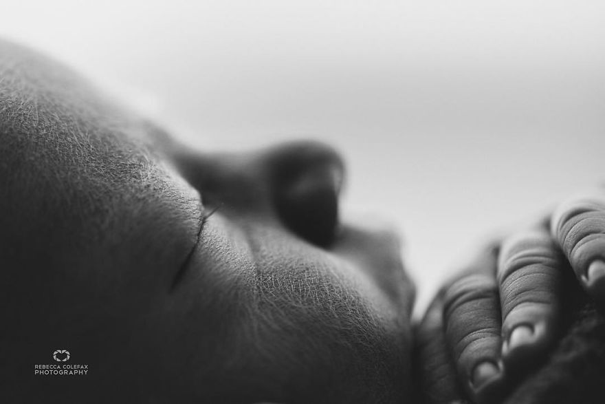 Photographer Takes Pictures Of Babies As Never Seen Before