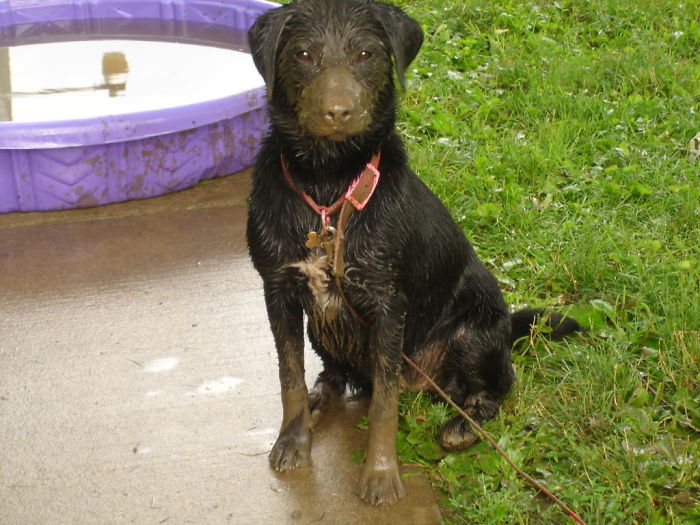 My Girl Luna Had A Blast In The Mad....