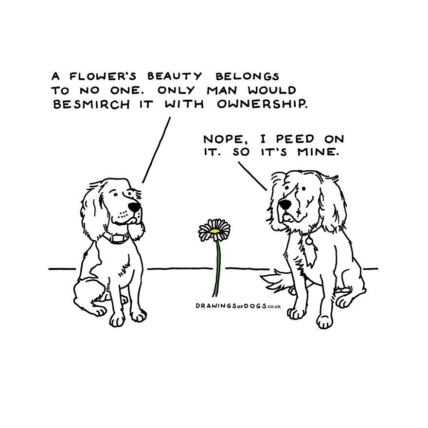 I Started Doing Amusing Drawings Of Dogs When Anxiety Forced Me To Drop Out Of A Philosophy Phd.