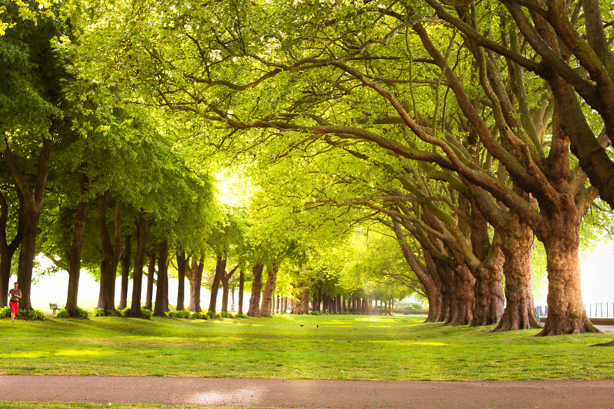 I Spent A Cloudy Afternoon Capturing Hidden Spots In My Neighbourhood I Spent A Cloudy Afternoon Capturing Hidden Spots In My Neighbourhood