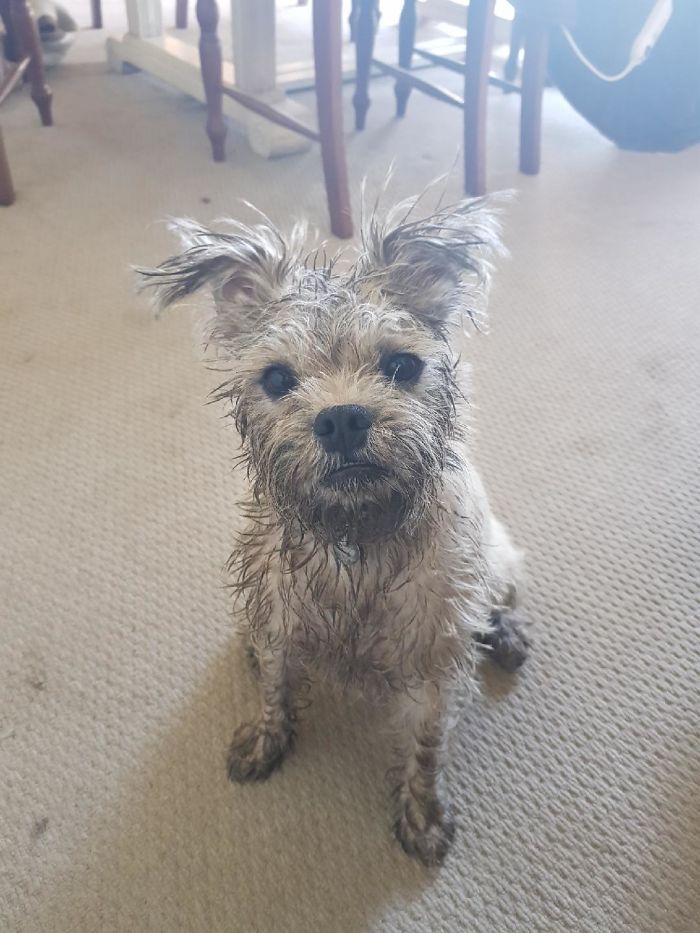 I May Have A Few Regrets...