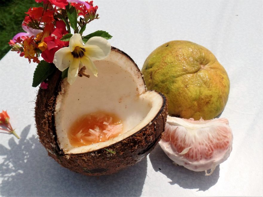 How To Make Bird Feeders In The Tropics