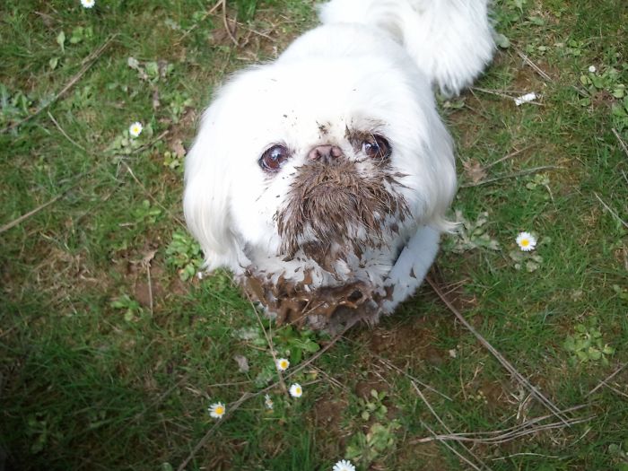 He Face-planted While Running Downhill. I Found It Much Funnier Than He Did.