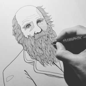 clarecorfieldcarr avatar