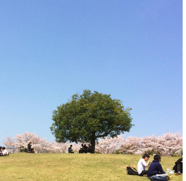 I Explore Japan's Quirky Neighbourhoods With A Bicycle And A Camera I Explore Japan's Quirky Neighbourhoods With A Bicycle And A Camera