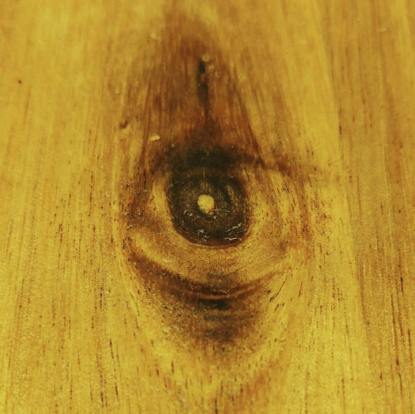 My Cutting Board Is Watching Me!