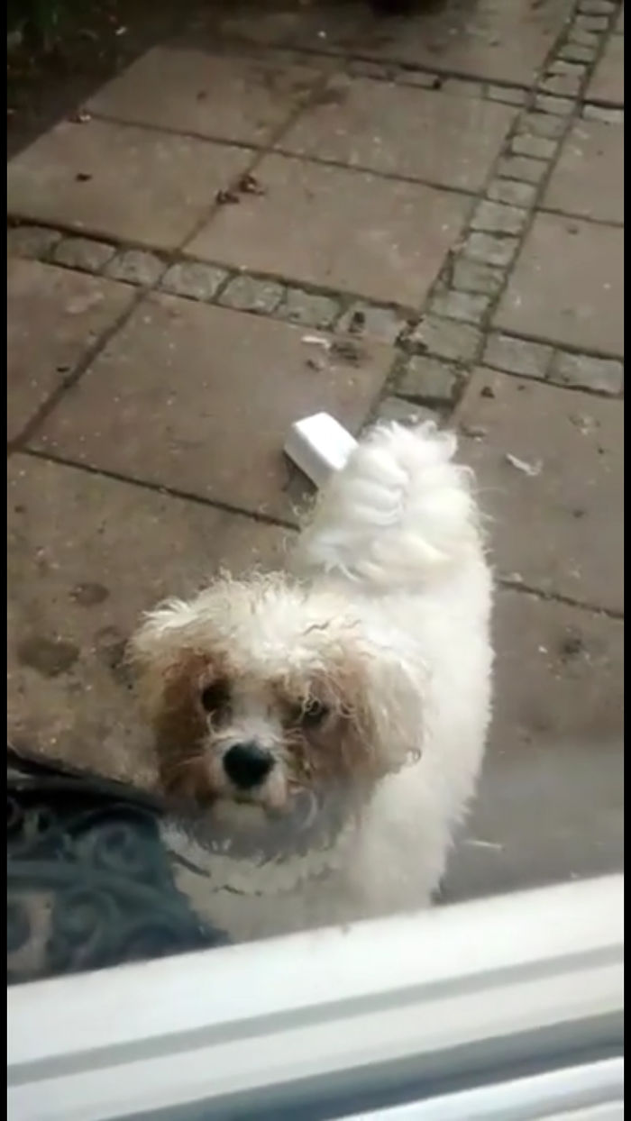 She's Not Getting In The House Like That!