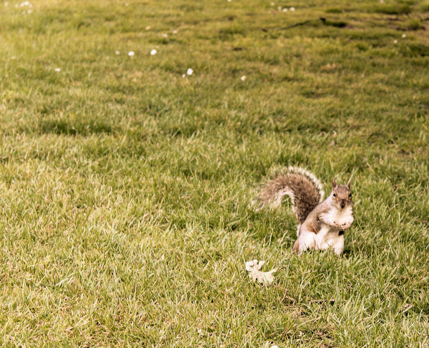 I Spent A Cloudy Afternoon Capturing Hidden Spots In My Neighbourhood I Spent A Cloudy Afternoon Capturing Hidden Spots In My Neighbourhood