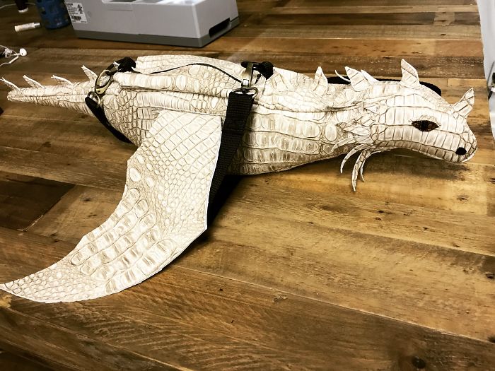 I Create Dragon Bags
