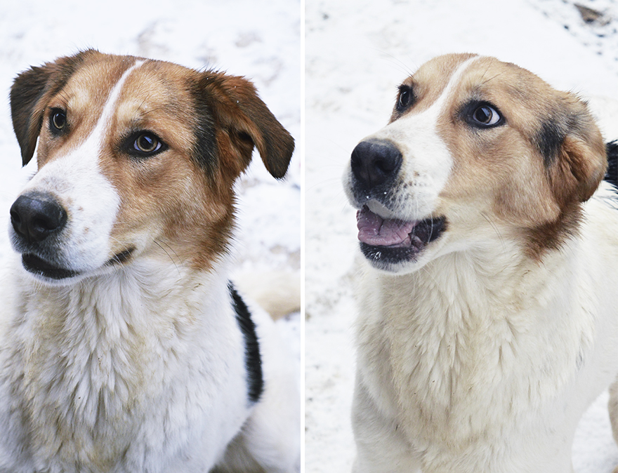 "I Want To Look Like I'm Serious!"