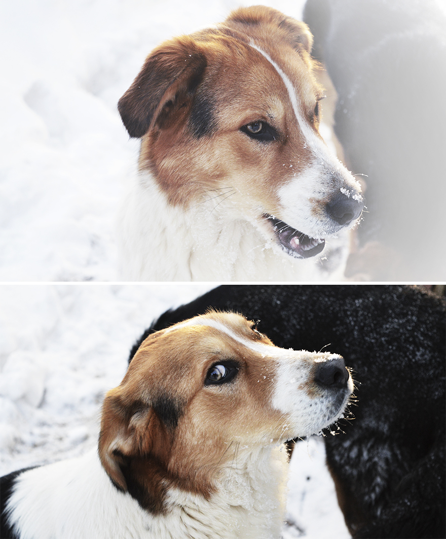 "I Want To Look Like I'm Courageous!"