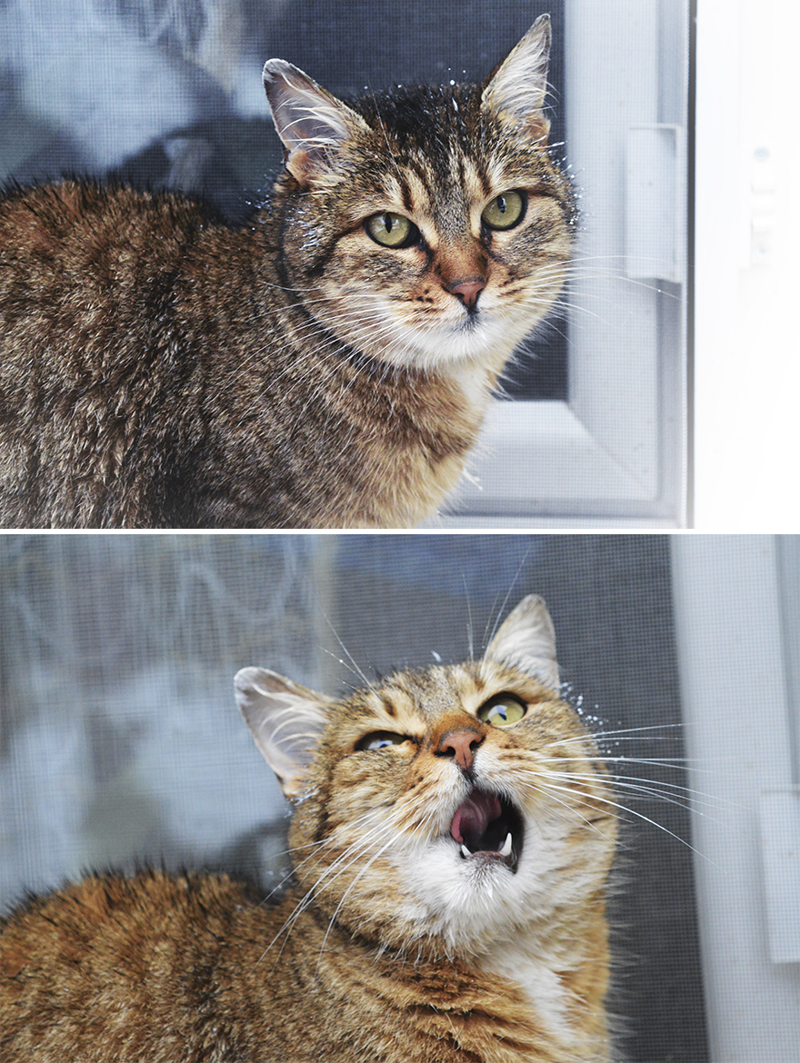 "I Want To Look Like I'm Normal!"