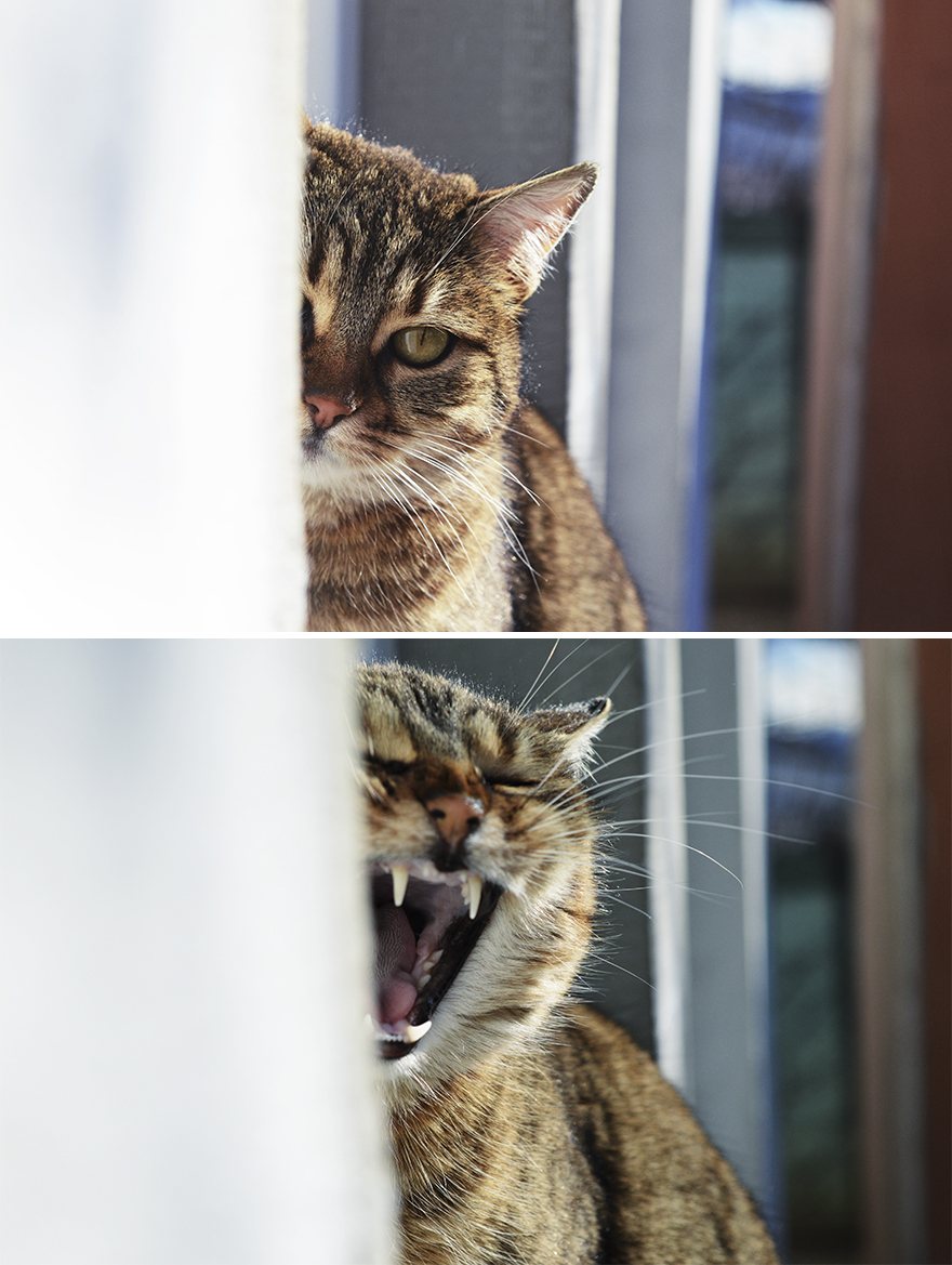 "I Want To Look Like I'm Focused And Mysterious!"