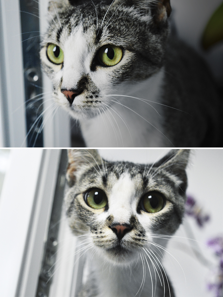 "I Want To Look Like I'm An Adult Now!"