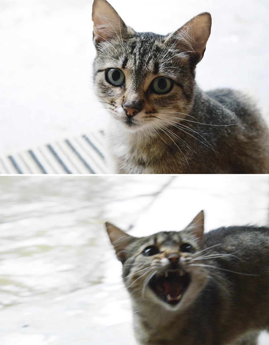 "I Want To Look Like I'm An Angel!"