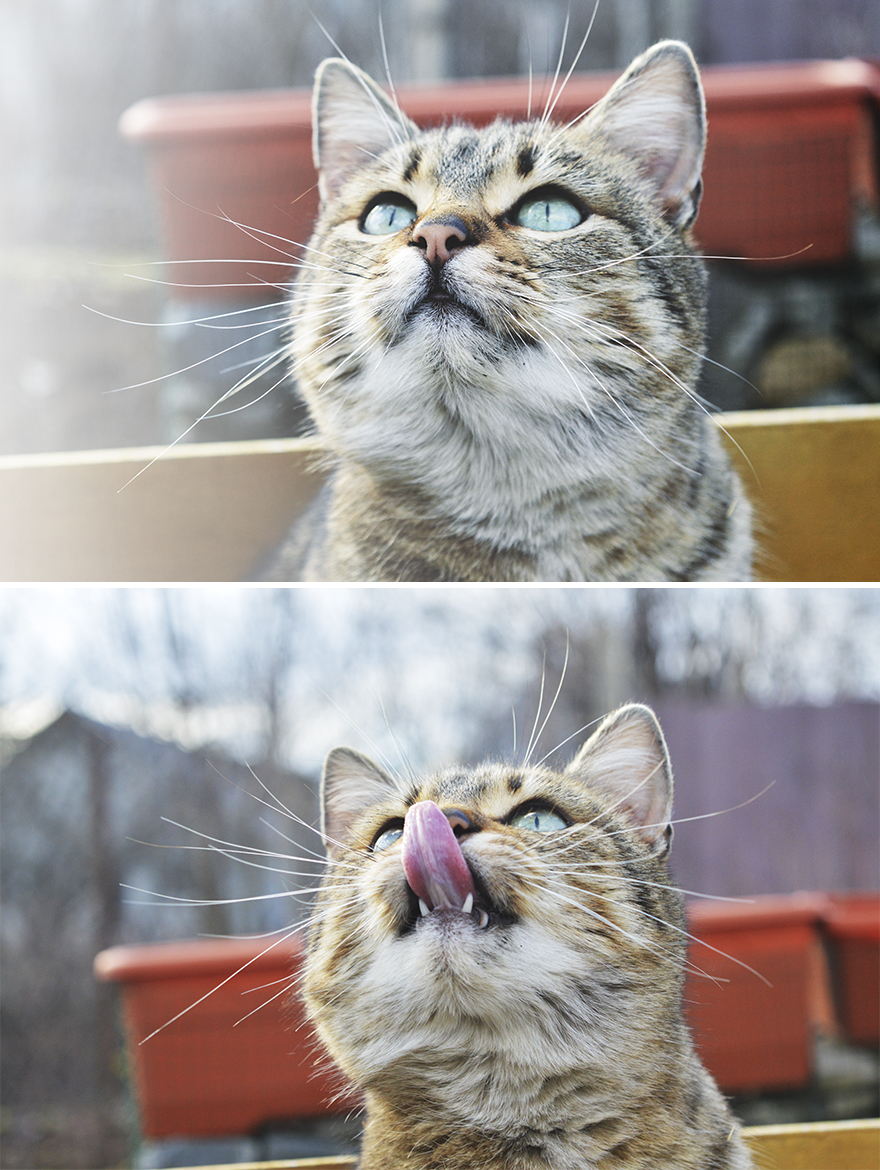 "I Want To Look Like I'm Normal!" Part 2