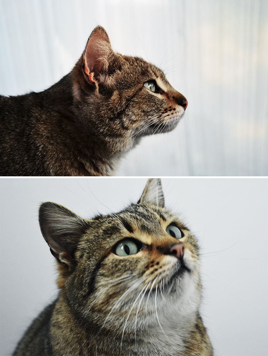 "I Want To Look Like A Dreamer!"