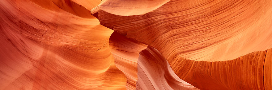 I Bought A $60,000 Digital Camera But I Still Prefer Film. Can You Spot The Difference? I Bought A $60,000 Digital Camera But I Still Prefer Film. Can You Spot The Difference?