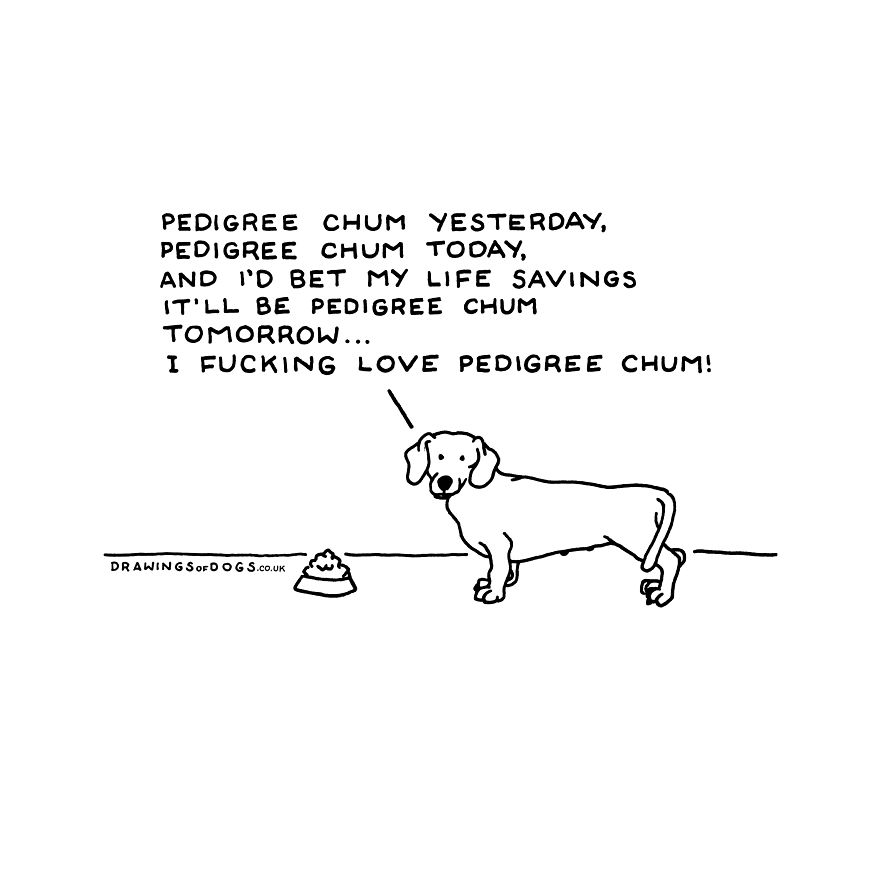 I Started Doing Amusing Drawings Of Dogs When Anxiety Forced Me To Drop Out Of A Philosophy Phd.