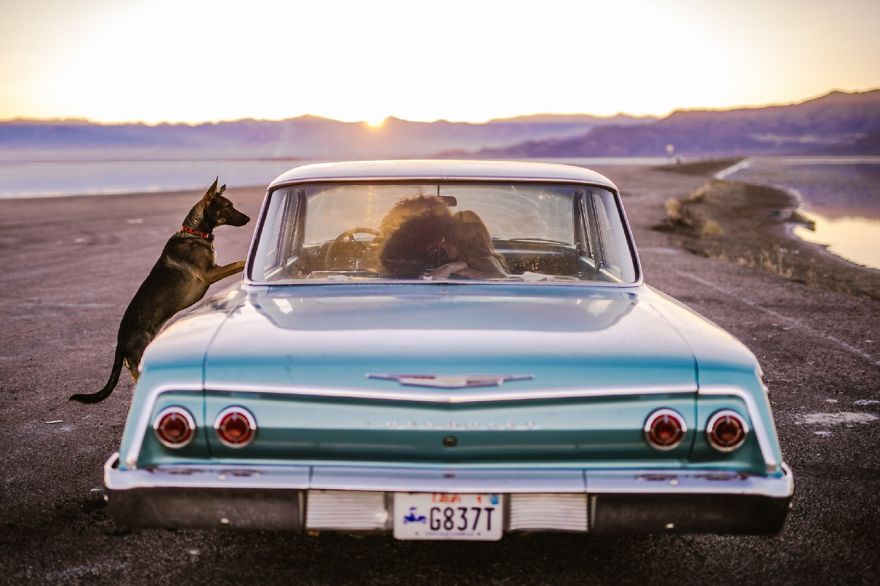 Leopoldo Sena Of Sweetpapermedia