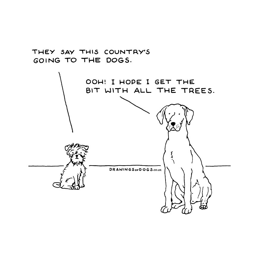 I Started Doing Amusing Drawings Of Dogs When Anxiety Forced Me To Drop Out Of A Philosophy Phd.