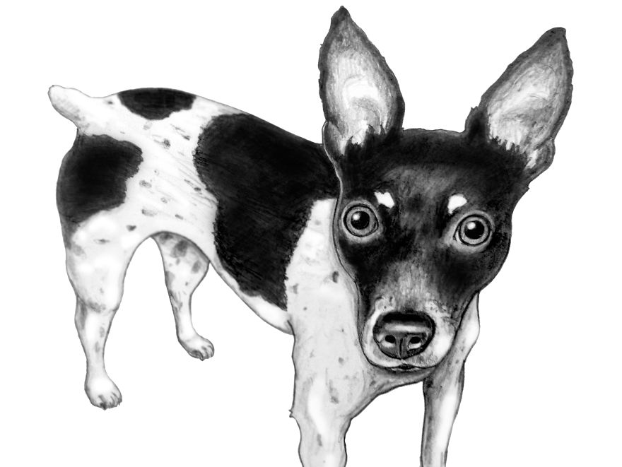 I Show Dog's Personalities By Painting Adorable Portraits
