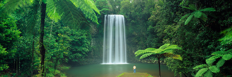 I Bought A $60,000 Digital Camera But I Still Prefer Film. Can You Spot The Difference?