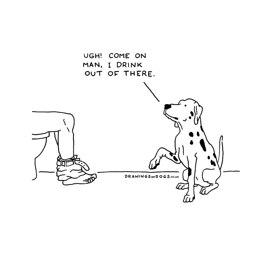 I Started Doing Amusing Drawings Of Dogs When Anxiety Forced Me To Drop Out Of A Philosophy Phd.