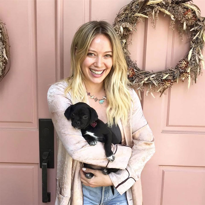 No One Wanted This Puppy Because It Was Different, So Hilary Duff Decided To Adopt It