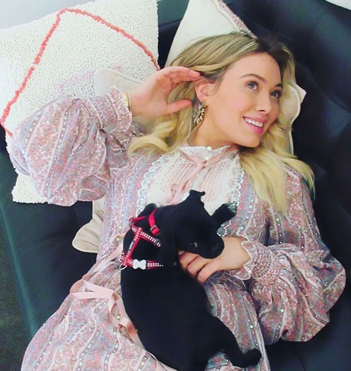No One Wanted This Puppy Because It Was Different, So Hilary Duff Decided To Adopt It No One Wanted This Puppy Because It Was Different, So Hilary Duff Decided To Adopt It