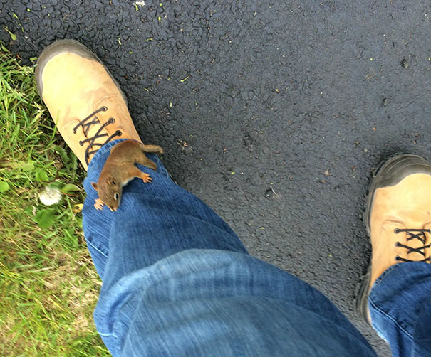 I Came Home From Work And This Little Guy Wanted To Play