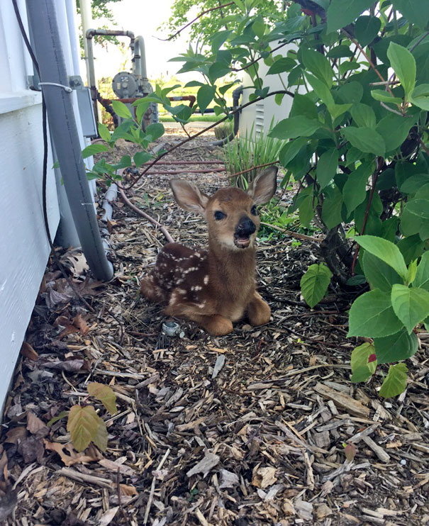 Found This Little Guy Sitting Outside My Front Door This Morning