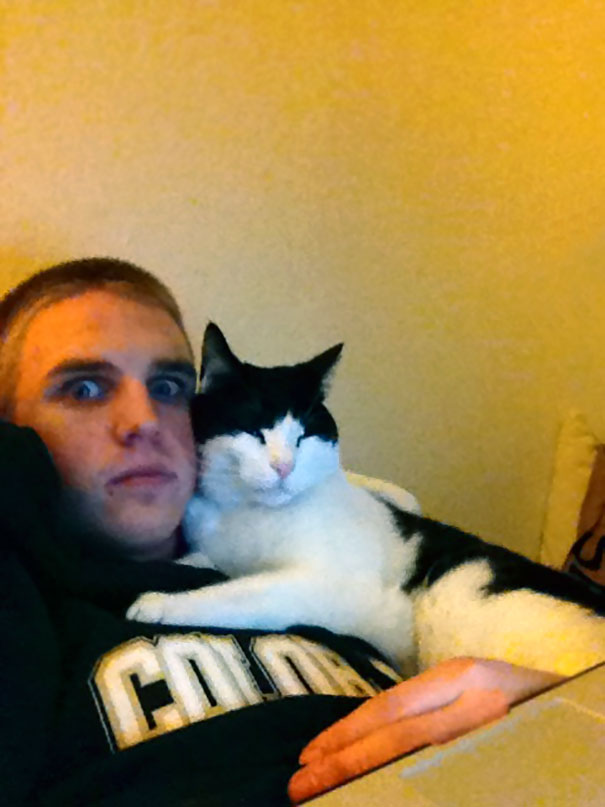 This Guy Showed Up At My Back Door Last Night, I Guess I Own A Cat Now