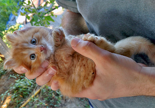 Found This Little Guy In My Pumpkin Patch Earlier This Fall
