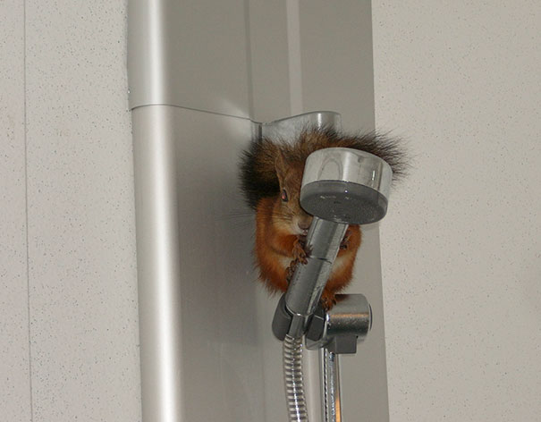 One Day Boyfriend Came Home To This. Needless To Say, Cat Was Exited