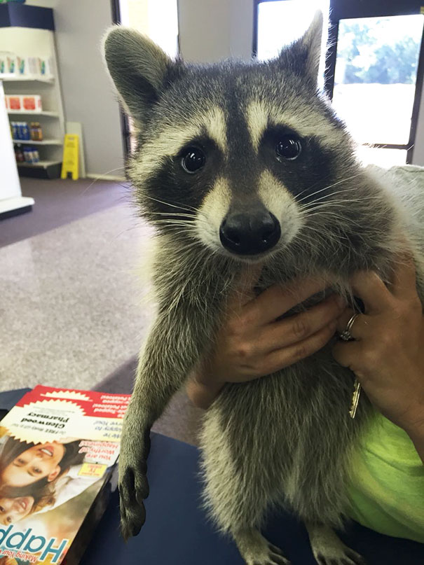 This Sweet Baby Just Came Into Where I Work