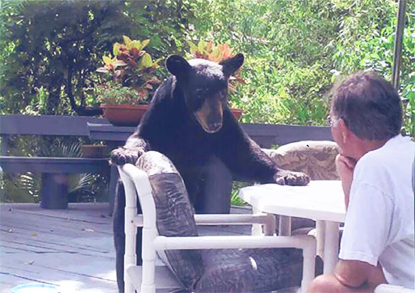 My Grandpa Won His First Staring Contest Today