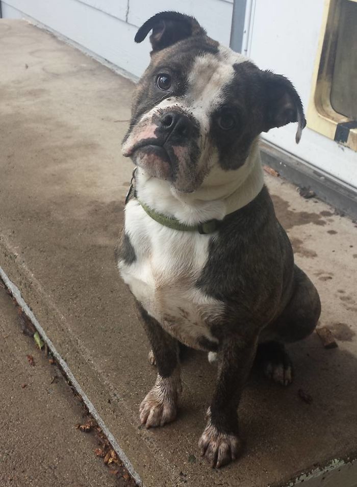 Someone Discovered Mud For The First Time Today...