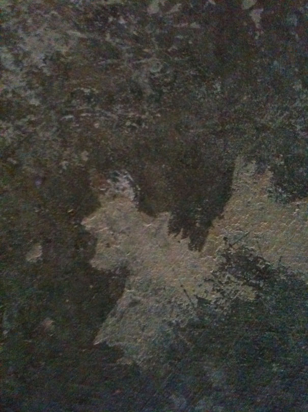 Bruce Lee On My Garage Floor?